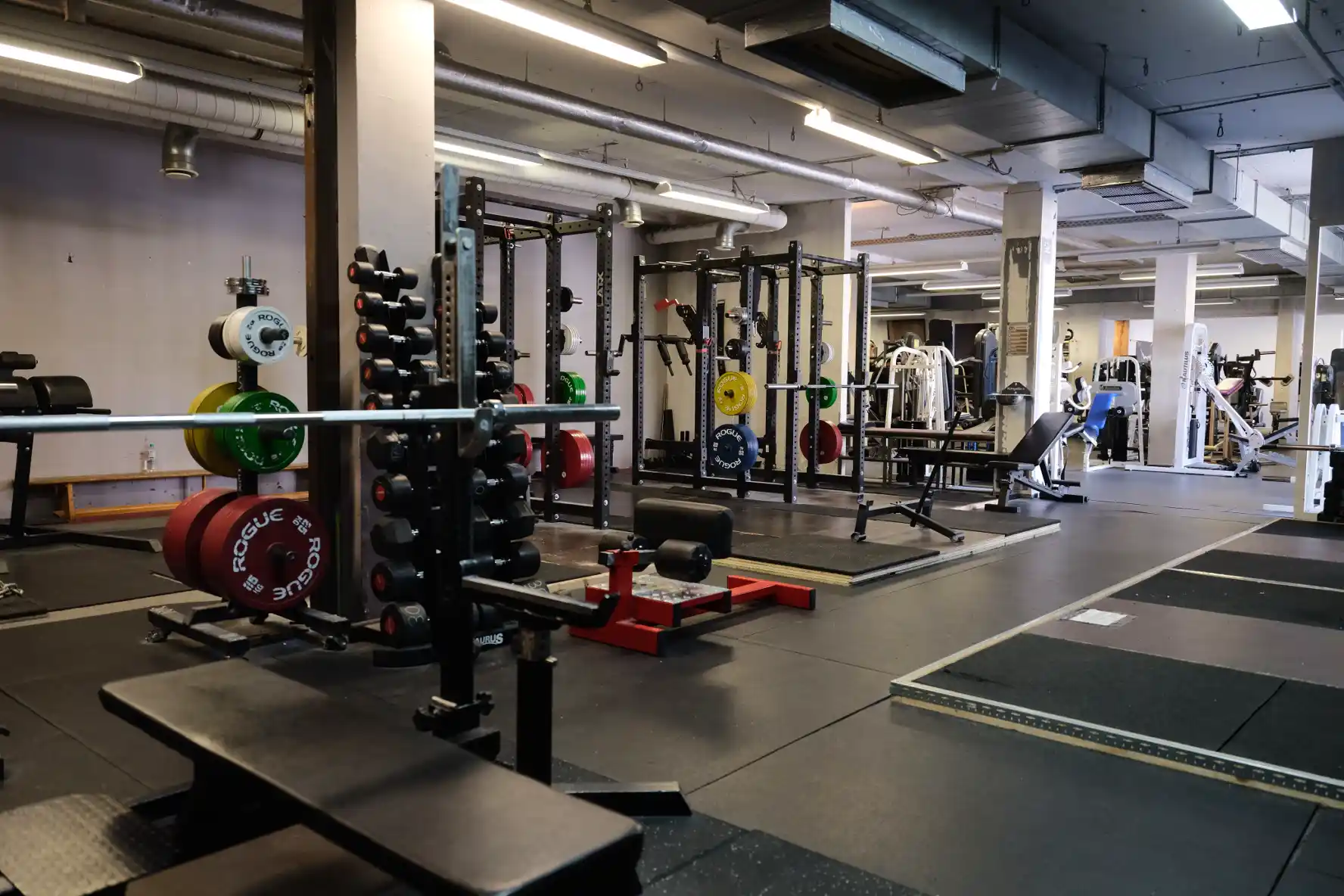 Trainingslager Köln Powerlifting Room